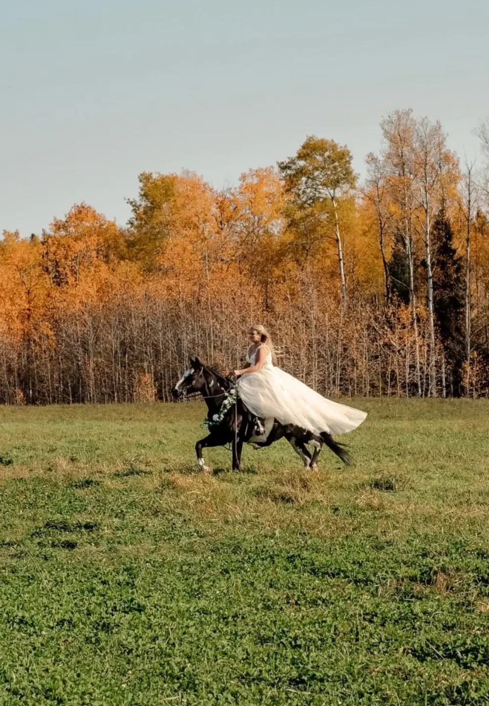 Gallery Image #slidesGrid0